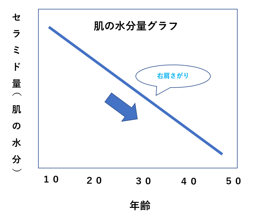肌水分量グラフ(セラミド）