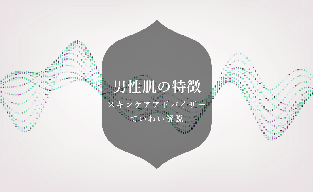 男性肌の特徴